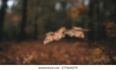 A captivating image of a single leaf floating above a forest floor, capturing the essence of autumn with its warm, earthy tones and blurred background.