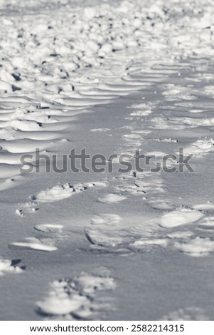 Captivating image of a snow-covered surface marked by multiple footprints, creating a sense of movement and exploration, captured in soft light. Represents solitude, travel, and the beauty of winter l