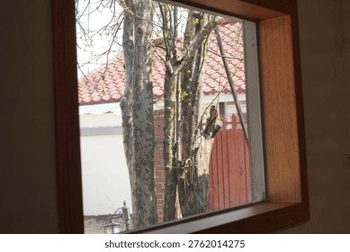 A captivating image of a tree viewed through a window in an Asian city during the autumn season.