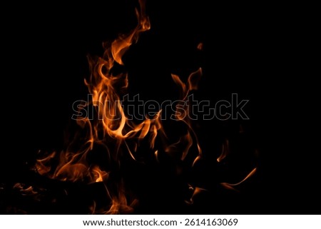 Captivating image of vibrant flames dancing in darkness, showcasing the beauty of fire. Perfect for themes of warmth, energy, or natural elements in visual projects.