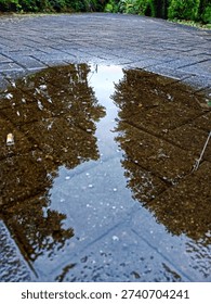 A captivating low-angle perspective showing a clear reflection of lush green trees in a rain puddle. The water sits on a textured brick-paved road, creating a natural mirror effect that blends urban elements with nature. Perfect for background designs, conceptual art, and themes of serenity or renewal after the rain