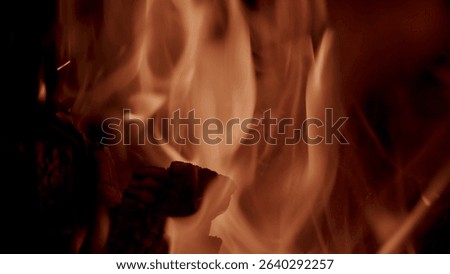 The Captivating and Luminous Flames Are Enticingly Dancing Gracefully in the Dark Night