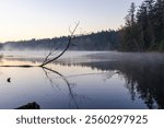 Captivating morning view at Elk Lake on Vancouver Island, British Columbia, featuring serene water reflections and misty forest outlines at sunrise.