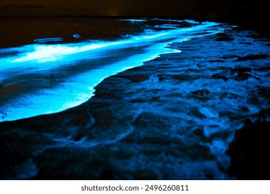 A captivating night scene of bioluminescent algae illuminating the shoreline at Jervis Bay, Australia - Powered by Shutterstock