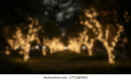 A captivating nighttime scene featuring trees adorned with warm, glowing lights, creating a magical and enchanting atmosphere. The soft illumination adds a touch of wonder.