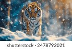 Captivating photograph of a majestic Siberian tiger in its natural habitat, surrounded by pristine snow.