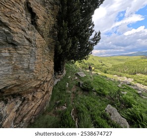 A captivating scene with a rocky outcrop covered in juniper bushes on the left and a lush meadow with clusters of juniper on the right, creating a serene and harmonious landscape. - Powered by Shutterstock