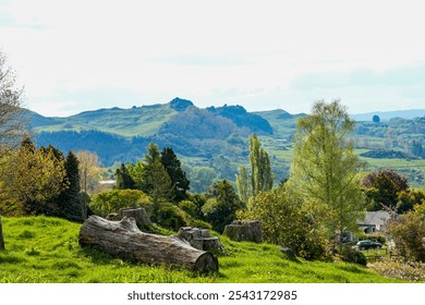 Captivating scenic view showcasing lush green hills, weathered logs, and vibrant trees under a bright sky, ideal for nature enthusiasts seeking tranquility and beauty. - Powered by Shutterstock