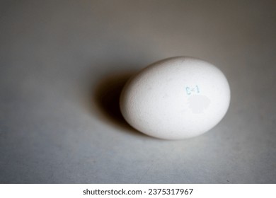 Captivating shot of a meticulously marked 'C1' chicken egg, resting elegantly on a pristine white table, casting a stylish, dramatic shadow. Ideal for showcasing branded products