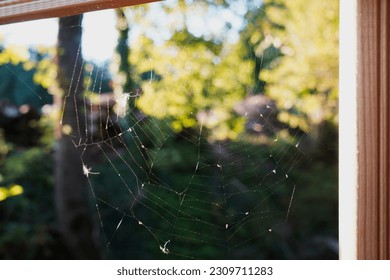 Captivating sight of a delicate spider web gracefully woven across a bridge amidst the enchanting Swiss woodlands.
