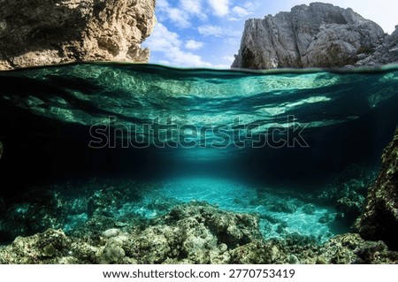 A captivating split-level view showcasing the vibrant underwater world of a hidden cove, contrasting with the rocky landscape above the surface.