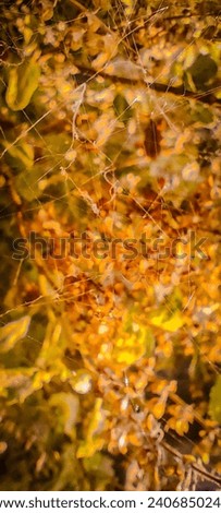 Image, Stock Photo hundredteins