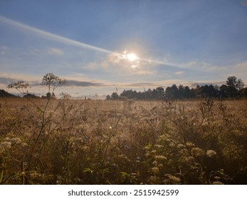 A captivating sunrise casts a gentle glow over a wildflower meadow, with beams of light piercing through to illuminate the dewy landscape, creating a serene and ethereal morning atmosphere - Powered by Shutterstock