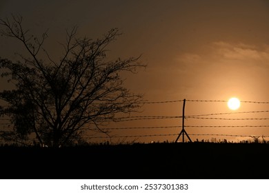 A captivating sunset scene captures the golden hour with the sun low on the horizon, casting warm, earthy tones across the sky. Silhouettes of a tree with bare branches and a barbed wire fence create  - Powered by Shutterstock