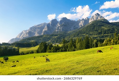 Captivating view of Alpine green fields and traditional wooden houses near Werfen am Tennengebirge with cow