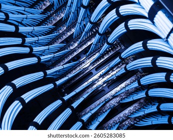 A captivating view of blue fiber optic cables organized within a data center, showcasing modern technology and intricate design in network infrastructure.