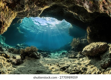 A captivating view from inside an underwater cave, showcasing sunlight streaming through the water's surface, illuminating the cave's interior and the marine life.