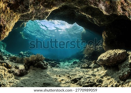 A captivating view from inside an underwater cave, showcasing sunlight streaming through the water's surface, illuminating the cave's interior and the marine life.