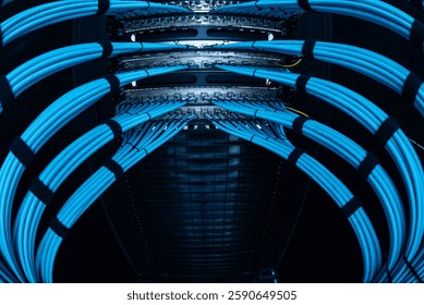 A captivating view of a server rack filled with neatly arranged blue cables, highlighting the intricate design of modern data infrastructure.