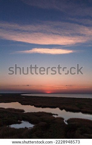 Captivating wetland in evening landscape photo. Beautiful nature scenery photography with marshland on background. Idyllic scene. High quality picture for wallpaper, travel blog, magazine, article