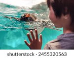 Captive cute Gentoo penguin looking at child while swimming in water tank in an aquarium or zoo. Child