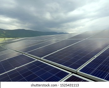 Captive Solar Power Plant Installed For The Needs Of A Flower Farm In Kenya