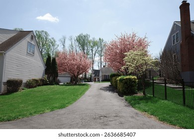Capture the magic of spring with these breathtaking cherry blossom scenes from Virginia’s most iconic locations. From the serene gardens of Meadowlark to the cultural charm of Red Wing Park.