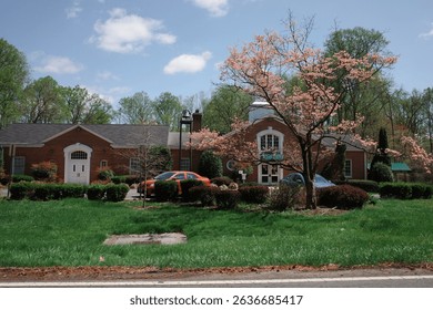 Capture the magic of spring with these breathtaking cherry blossom scenes from Virginia’s most iconic locations. From the serene gardens of Meadowlark to the cultural charm of Red Wing Park.