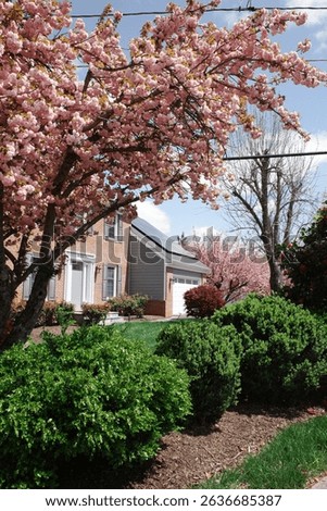 Capture the magic of spring with these breathtaking cherry blossom scenes from Virginia’s most iconic locations. From the serene gardens of Meadowlark to the cultural charm of Red Wing Park.