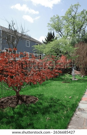 Capture the magic of spring with these breathtaking cherry blossom scenes from Virginia’s most iconic locations. From the serene gardens of Meadowlark to the cultural charm of Red Wing Park.