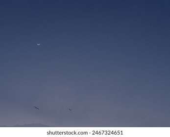 Capture the magic of your crescent with Sky Click. Snap stunning photos of stars, the moon, and the cosmos, turning each moment into a timeless memory. Sky Click makes stargazing unforgettable.