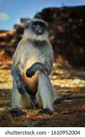 Capture At Panhala Fort , Kolhapur, India