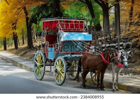Capture the timeless elegance of a horse-drawn carriage amidst a bed of enchanting flowers. Explore the beauty of nature and history in one frame countryside of Bangladesh 