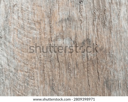 Capture the whispering history of the elements with this beautifully muted, warm tan and ash-grey weathered timber backdrop. The surface boasts a dense tapestry of tight, rhythmic vertical grains, delicately etched by nature with countless fine, hairline cracks that tell a tale of patient outdoor aging. Subtle charcoal shadows and ghostly silver patinas gracefully bleed into the soft sandy wood fibers, creating a balanced, non-distracting organic depth. This harmonious display of natural resilience and soft, minimalist textures triggers an immediate psychological sense of safety, grounded serenity, and timeless authenticity. An exceptional commercial digital asset perfectly optimized for high-end web banners, holistic wellness packaging, or eco-conscious product mockups requiring a warm, tactile backdrop.