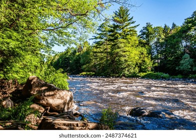 Captured along the vibrant banks of Rivière du Nord, this image showcases a wild river rushing over rocks, framed by lush, verdant trees under a clear blue sky. - Powered by Shutterstock