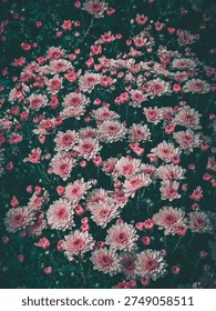 Captured in a close-up, vertically oriented photograph, this vibrant floral arrangement filled with delicate pastel chrysanthemums in a vintage, artistic style.