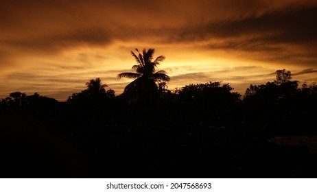 Captured In Evening . A Beautiful Scenario With Different Type Of Tress . This Can Be Used As Background Of Any Nature Based Magazine , Official Profile . 