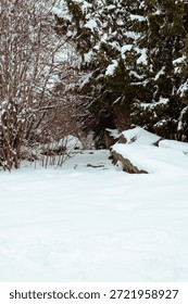 Captured in a vertical composition, snow-covered trees and rocks form a quiet urban nature scene where winter stillness meets the subtle presence of the city in the background.