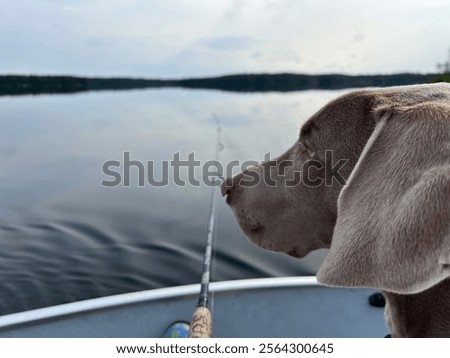 Similar – Image, Stock Photo Feels like Canada