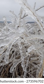 Capturing complex patterns and transparent spikes in frozen sculpture