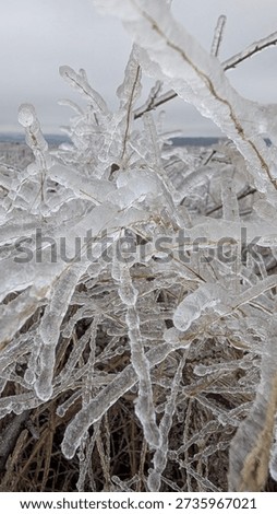 Capturing complex patterns and transparent spikes in frozen sculpture