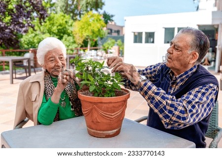 Capturing the essence of contentment, two elderly individuals lovingly tend to a potted plant, finding joy and serenity in the sun-drenched courtyard of a care facility.
