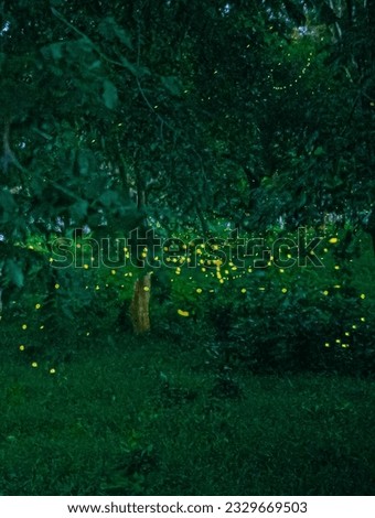 Capturing a firefly flying through the trees with a long exposure. Nighttime in Thailand's Prachinburi.