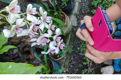 capturing a flower