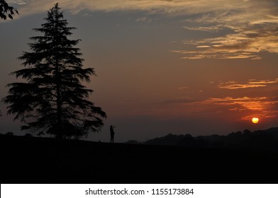 Capturing The Landscape At Sunset, Weald Country Park, Brentwood, Essex, England, UK