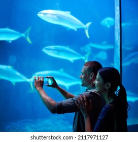 Capturing Marine Memories. Shot Of A Young Couple Taking A Snapshot Of The Fish In An Aquarium.