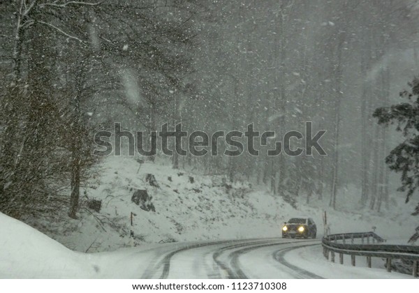 Car approaching along snowy road through forest\
in blizzard