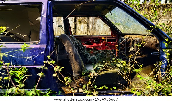               \
Car body in the grass, abandoned car    \
            