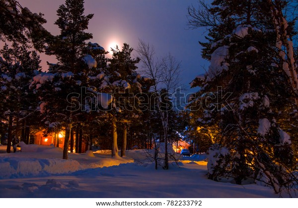 Car camping in the winter\
forest. A lot of snow. Night illumination and the moon in the misty\
sky