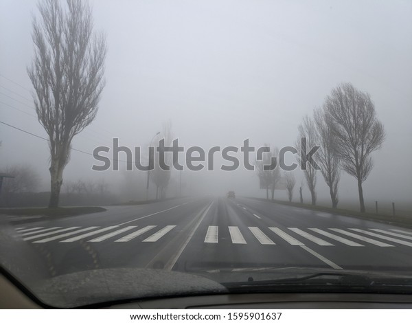 in a\
car in cloudy weather. rain and fog on the\
road